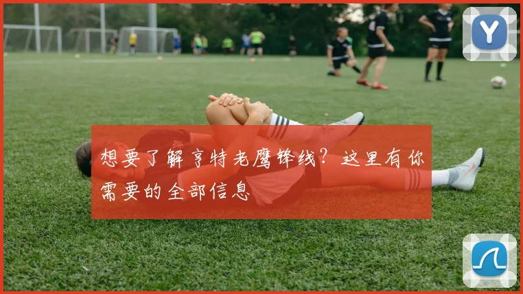 想要了解亨特老鹰锋线？这里有你需要的全部信息