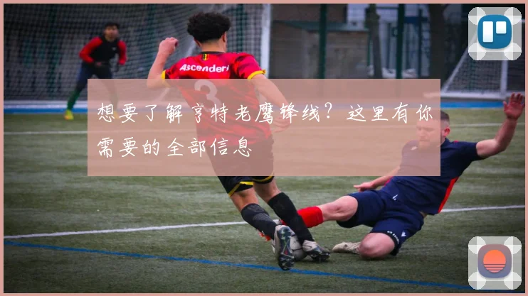 想要了解亨特老鹰锋线?这里有你需要的全部信息